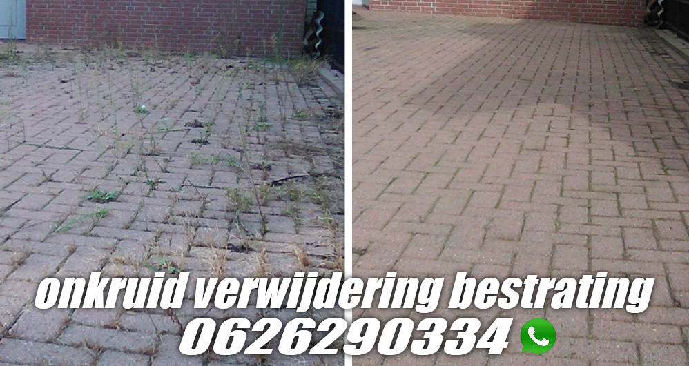 Snoeiwerk , tuinonderhoud