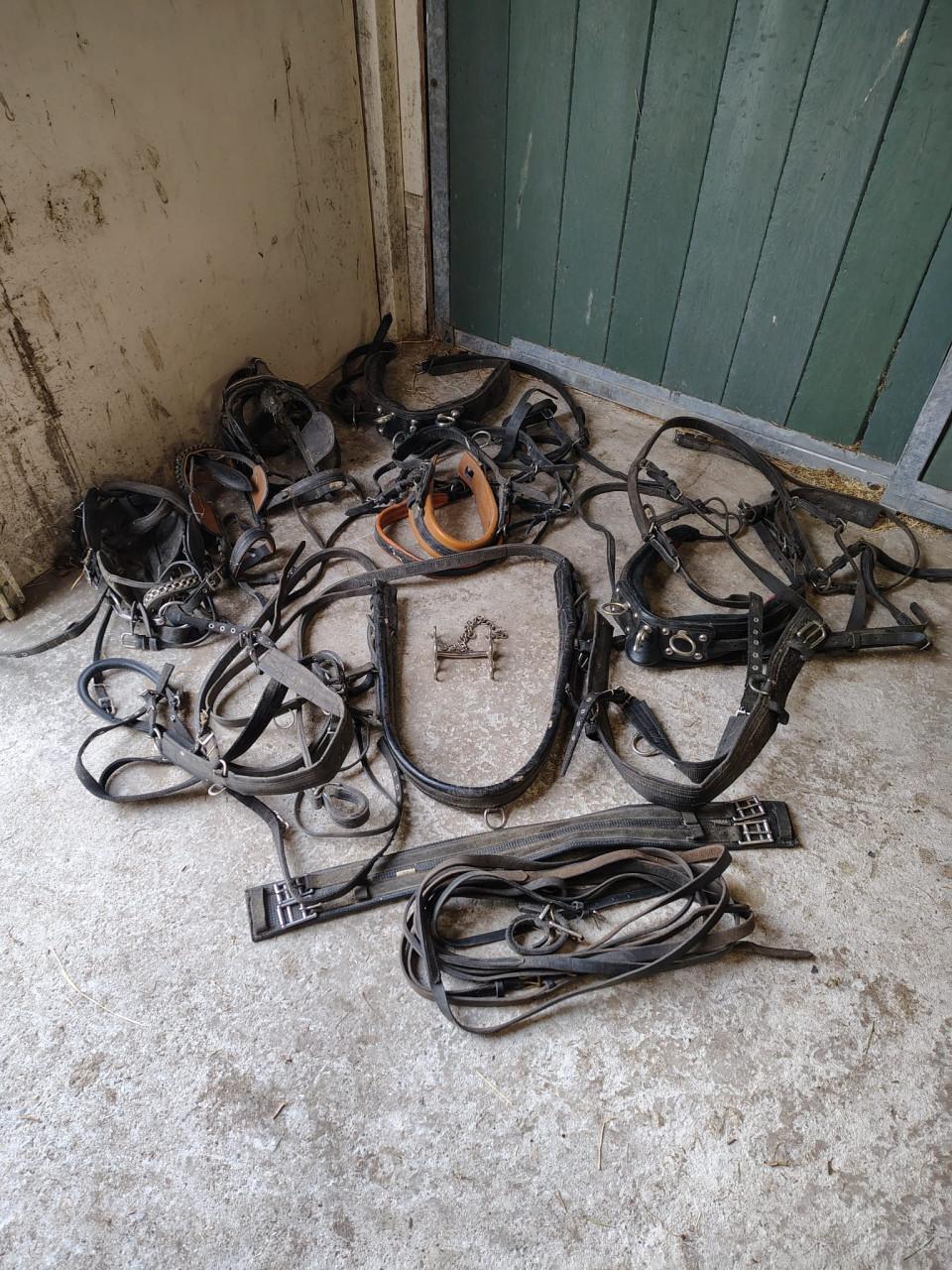 Allerlei mentuigonderdelen