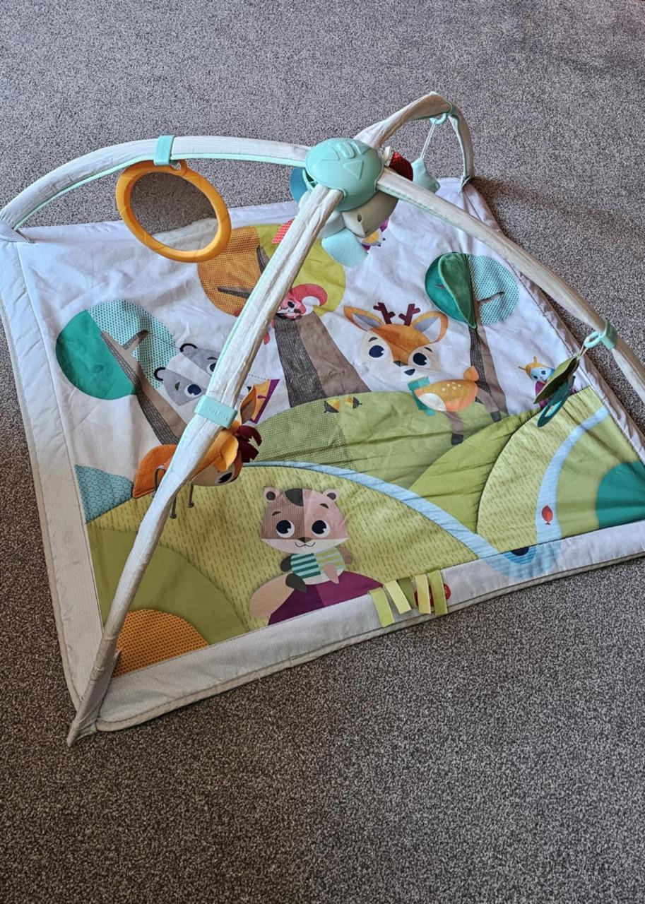 Tiny Love speelkleed met licht en geluid