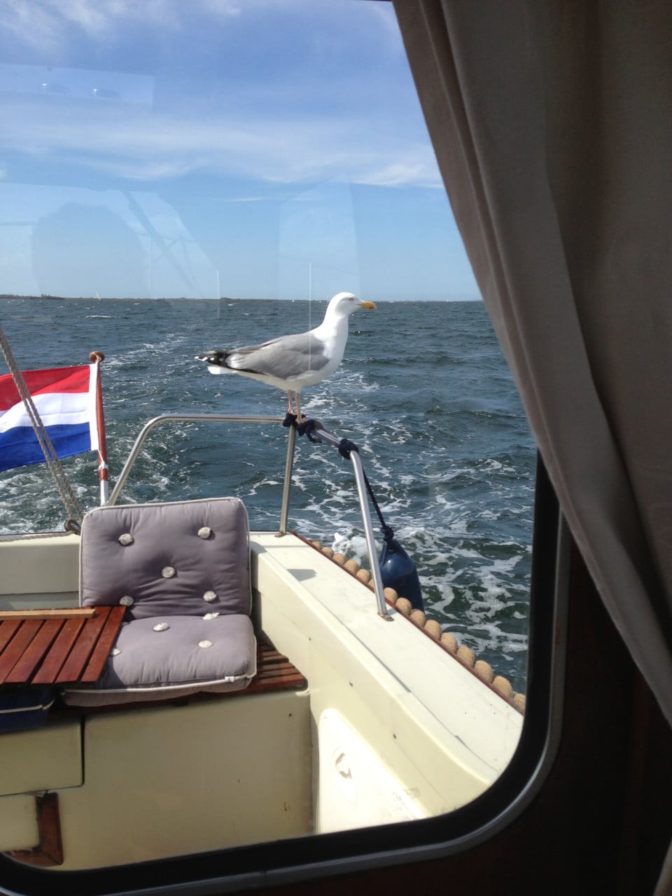 Drammer 7.00 motorboot