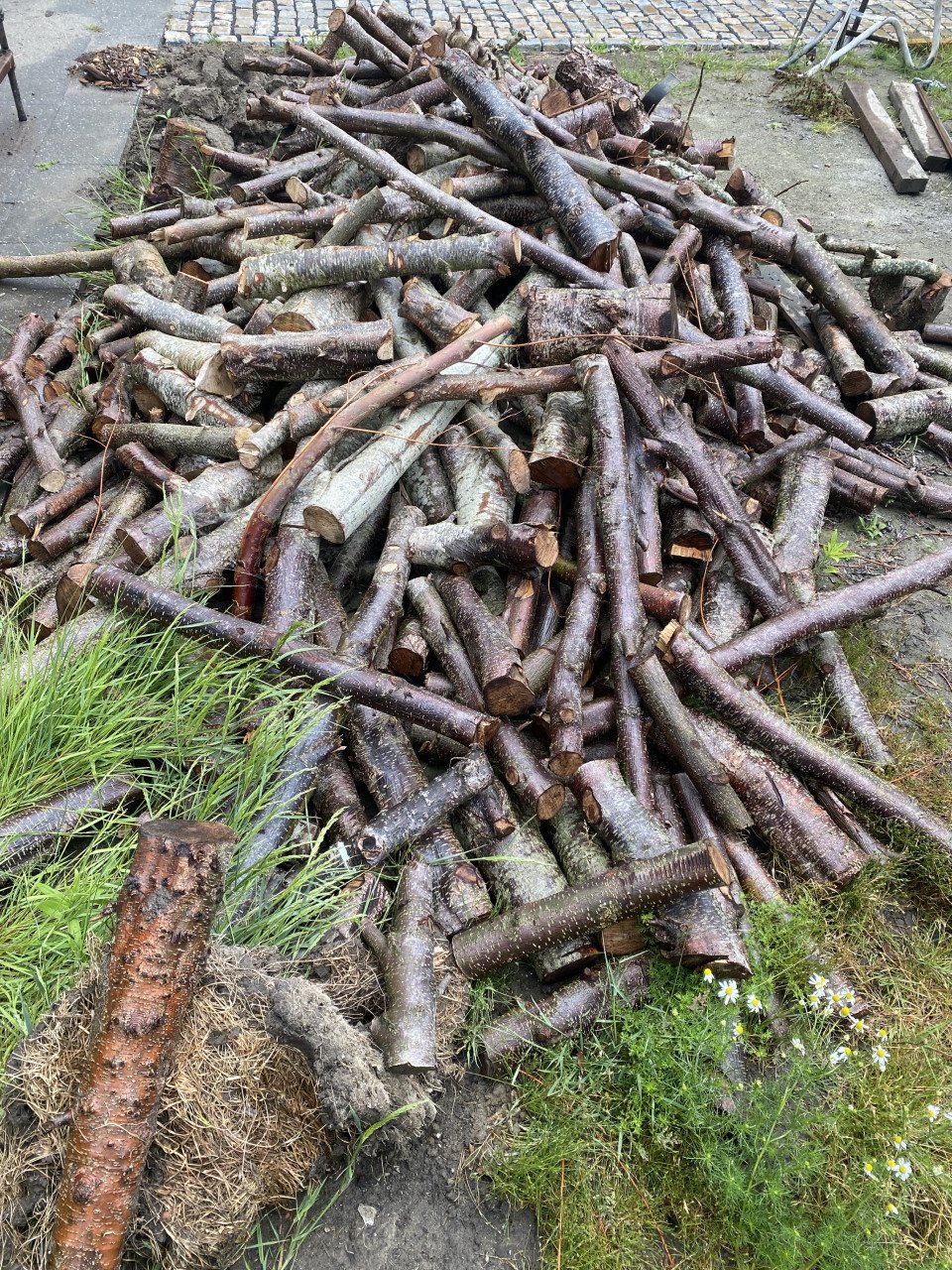 Openbaar hout van Els