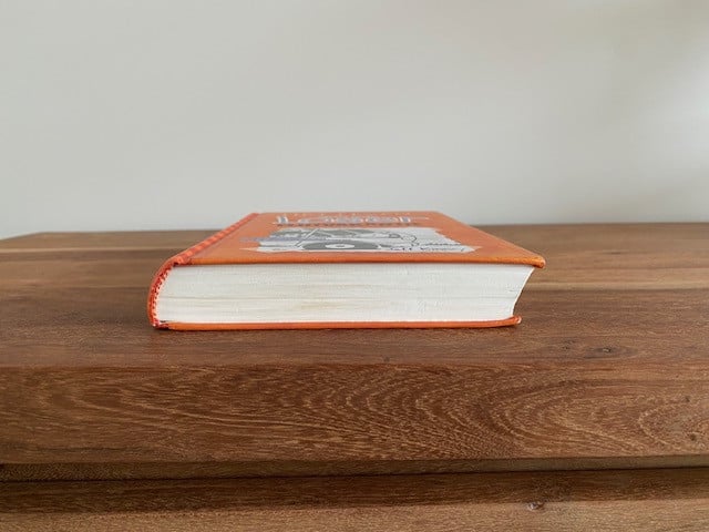 Het leven van een loser 9 | Flutvakantie | Jeff Kinney