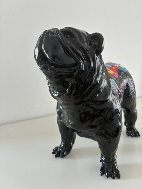 Originele Wove-dogs van Hannes D'haese