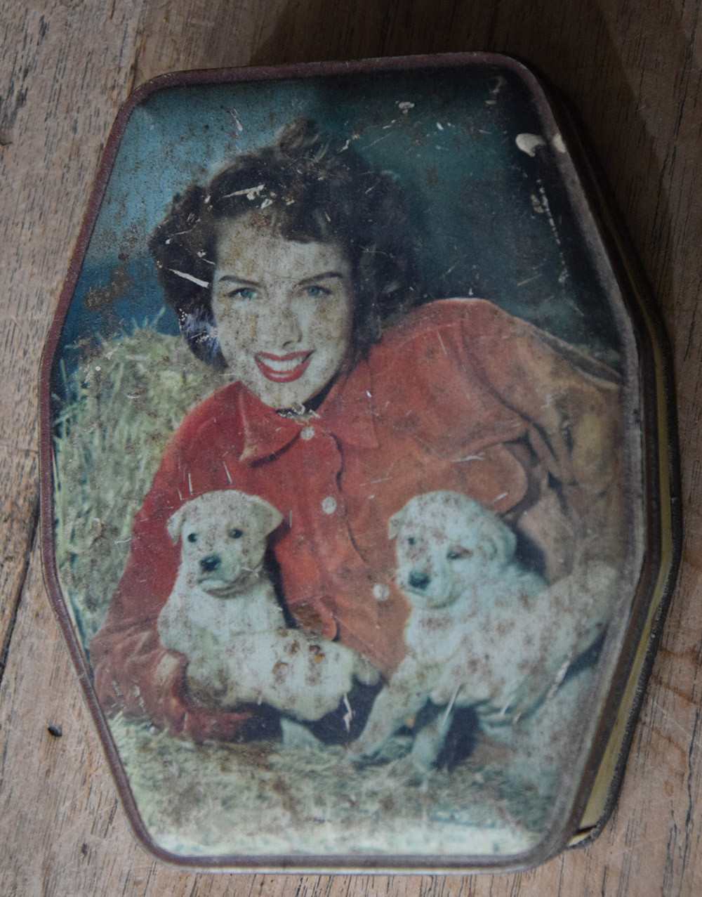 Blik G.W. Horner - puppies