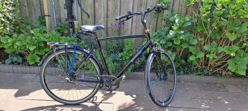 Herenfiets  Batavus dinsdag  frame 57 cm met Riemaandrijving