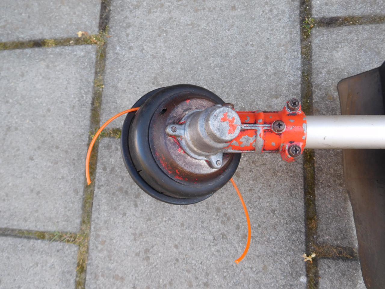 Bosmaaier