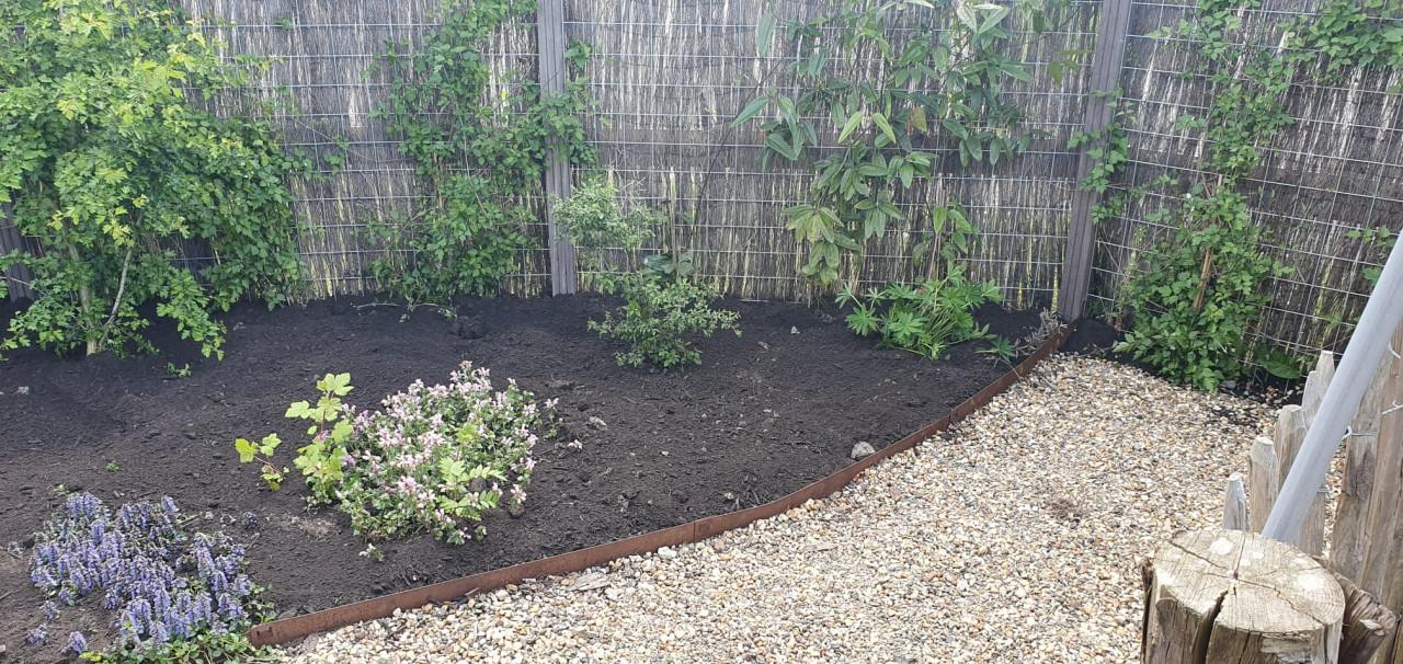 Vakbekwaam hovenier voor tuinonderhoud