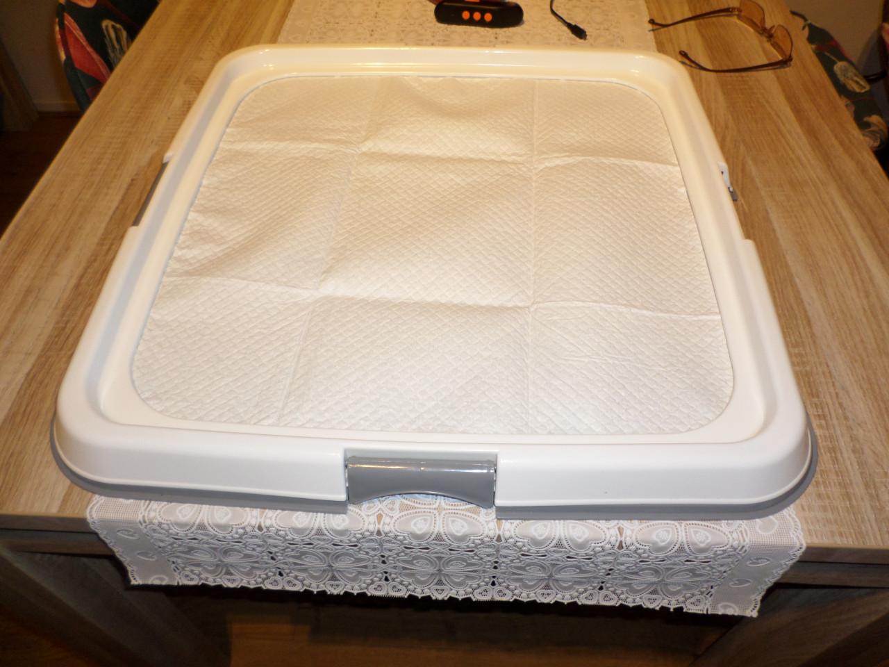 Tuigje met lijn en halsbanden en puppy trainer