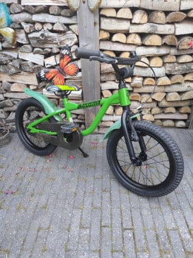 16 inch Lowenrad stoere groene jongens fiets
