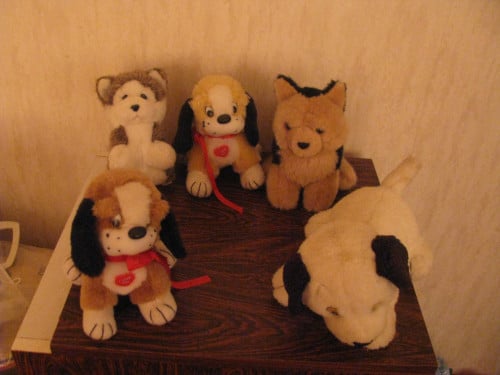 Knuffels.
