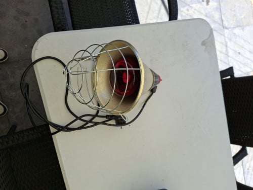 Warmte lamp