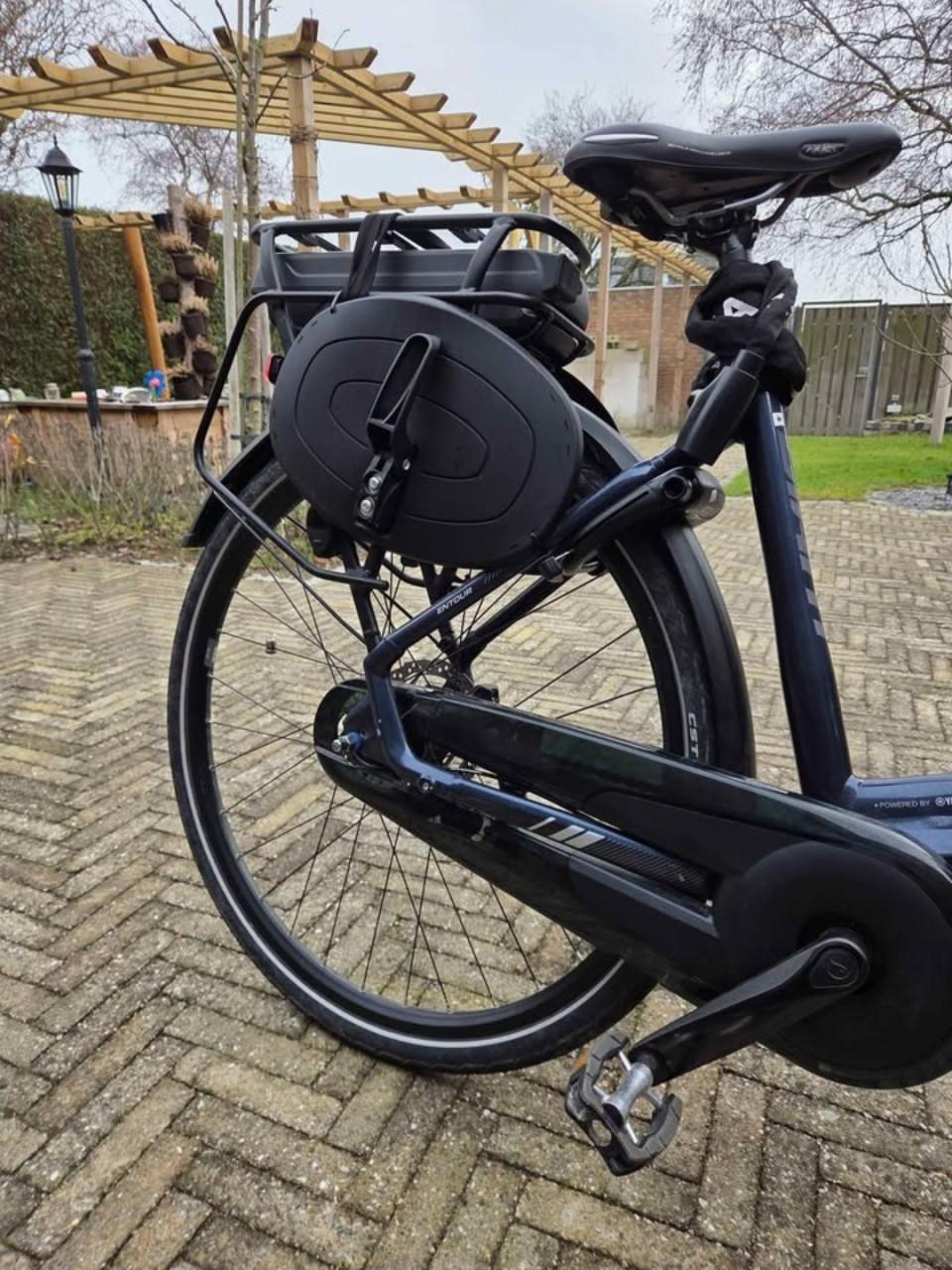 Elektrische Giant Entour 1+ Damesfiets