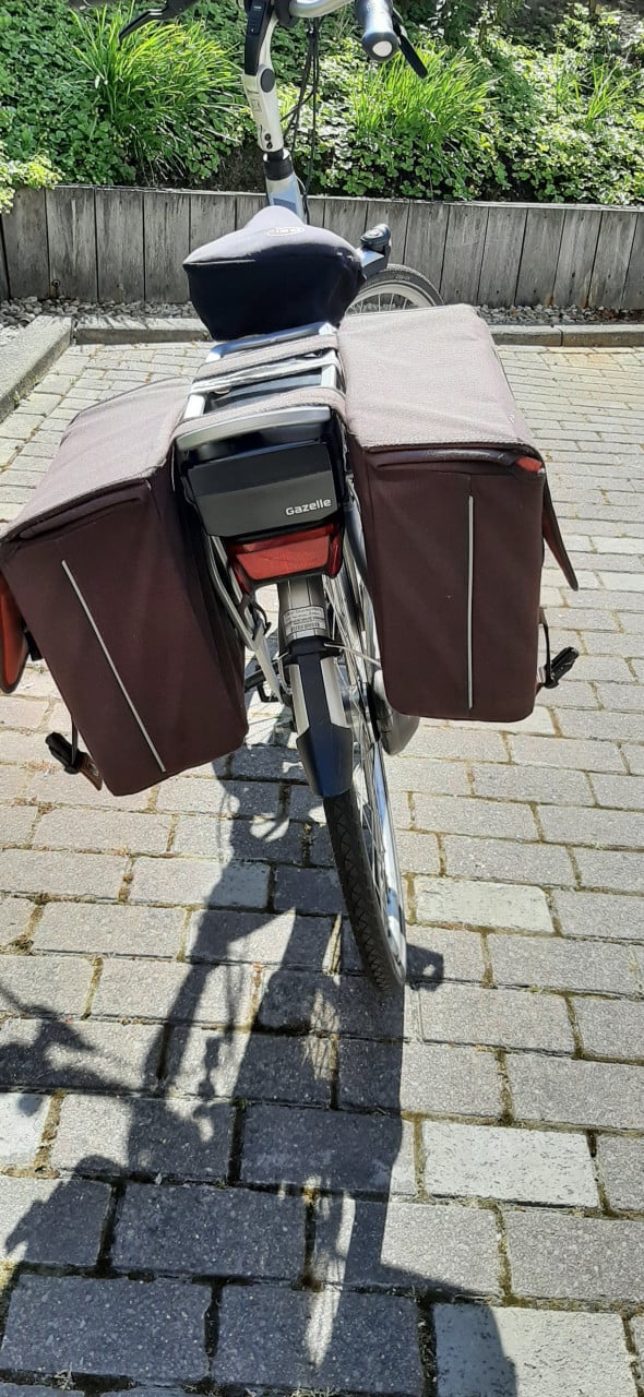 Gazelle Electrische stadsfiets Chamonix CF7HF