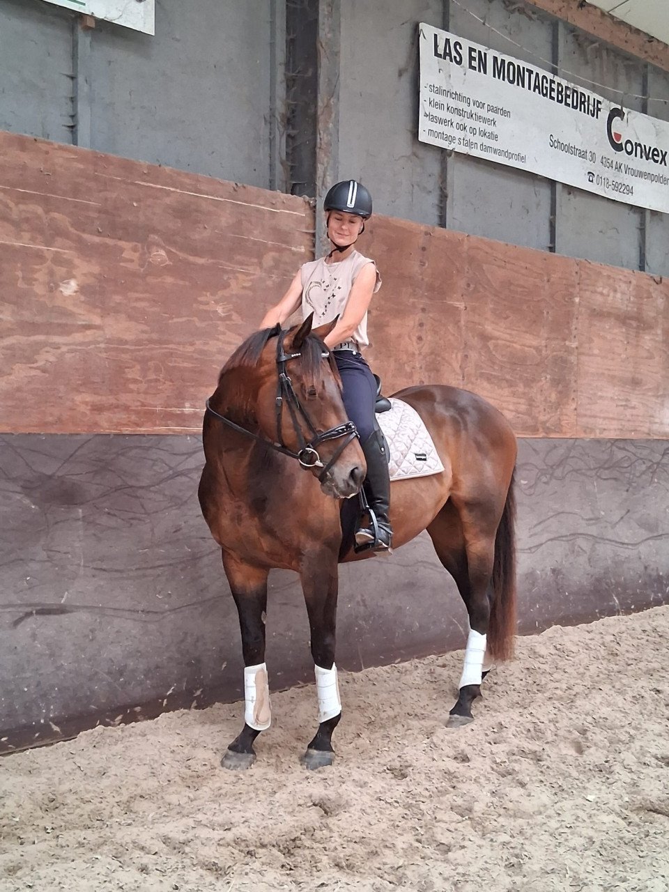 Knappe 7 jarige e pony ruin