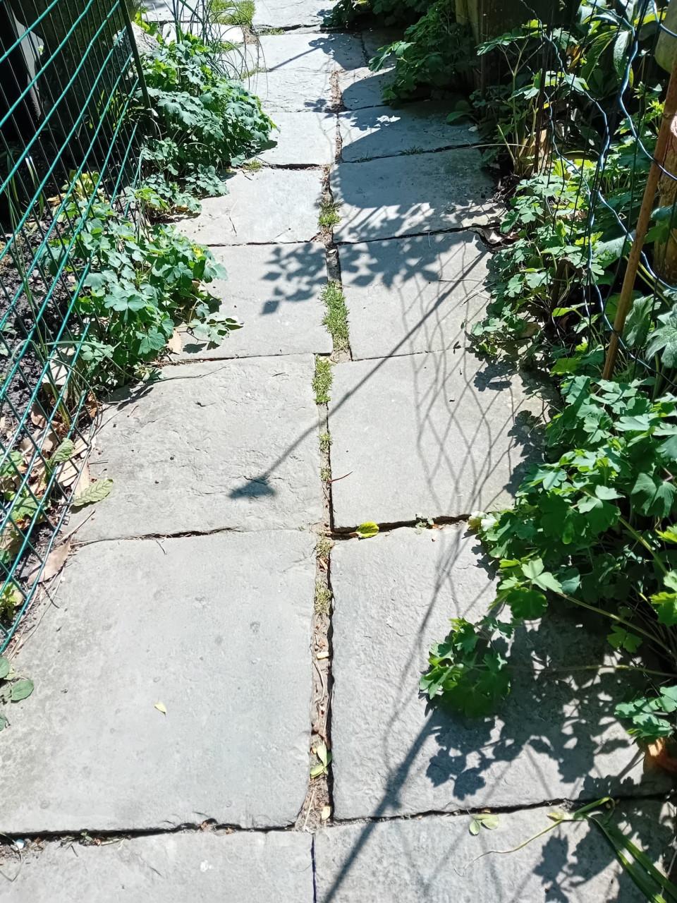 Tegels hardsteen tuin