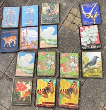 Verkade prentenboeken 13 stuks + 3 diversen