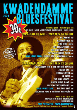 2 zaterdag kaarten Bluesfestival Kwadendamme