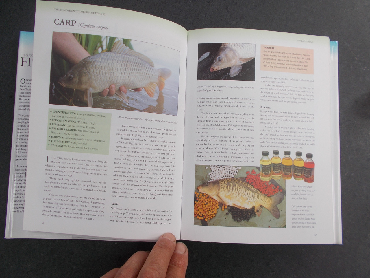 Fishing   zeevissen , zoetwatervissen, vliegvissen . 256 pagina's
