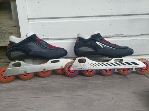 Sport