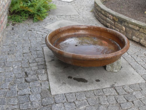 Plantenschaal.