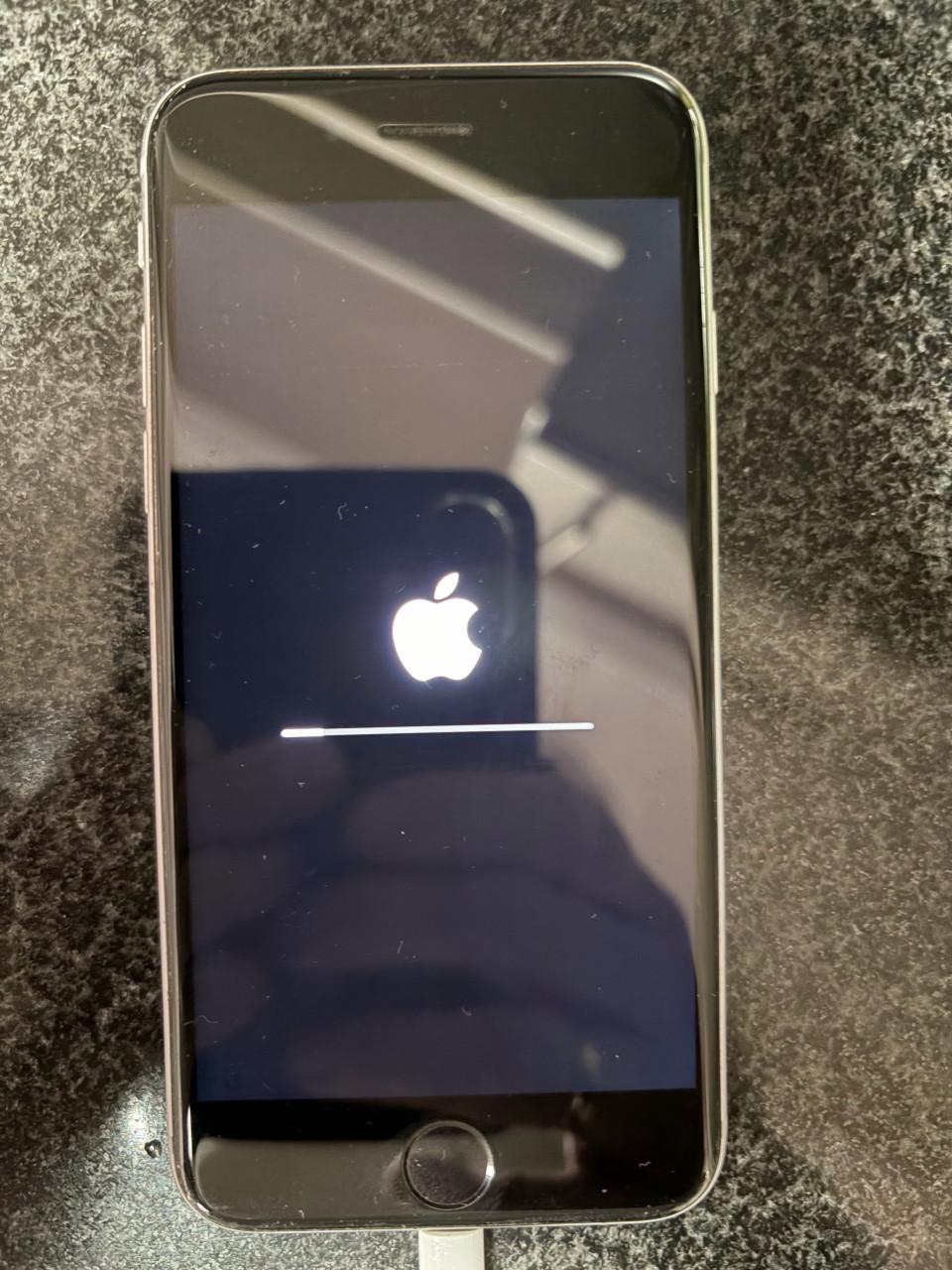 Apple oplader en snoer met iPhone 6S 16GB