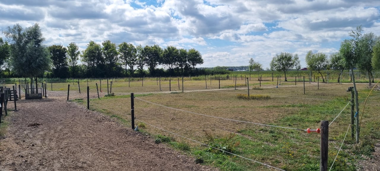 Paddock paradise Zeeland