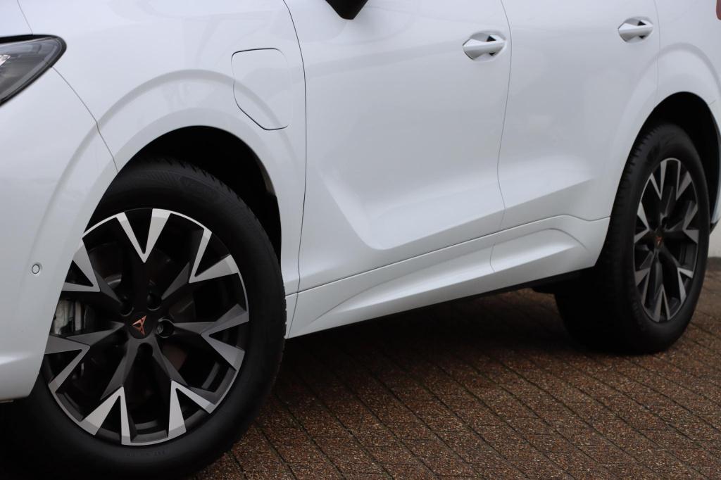 Cupra Terramar 1.5 tsi ehybrid business 204pk dsg6