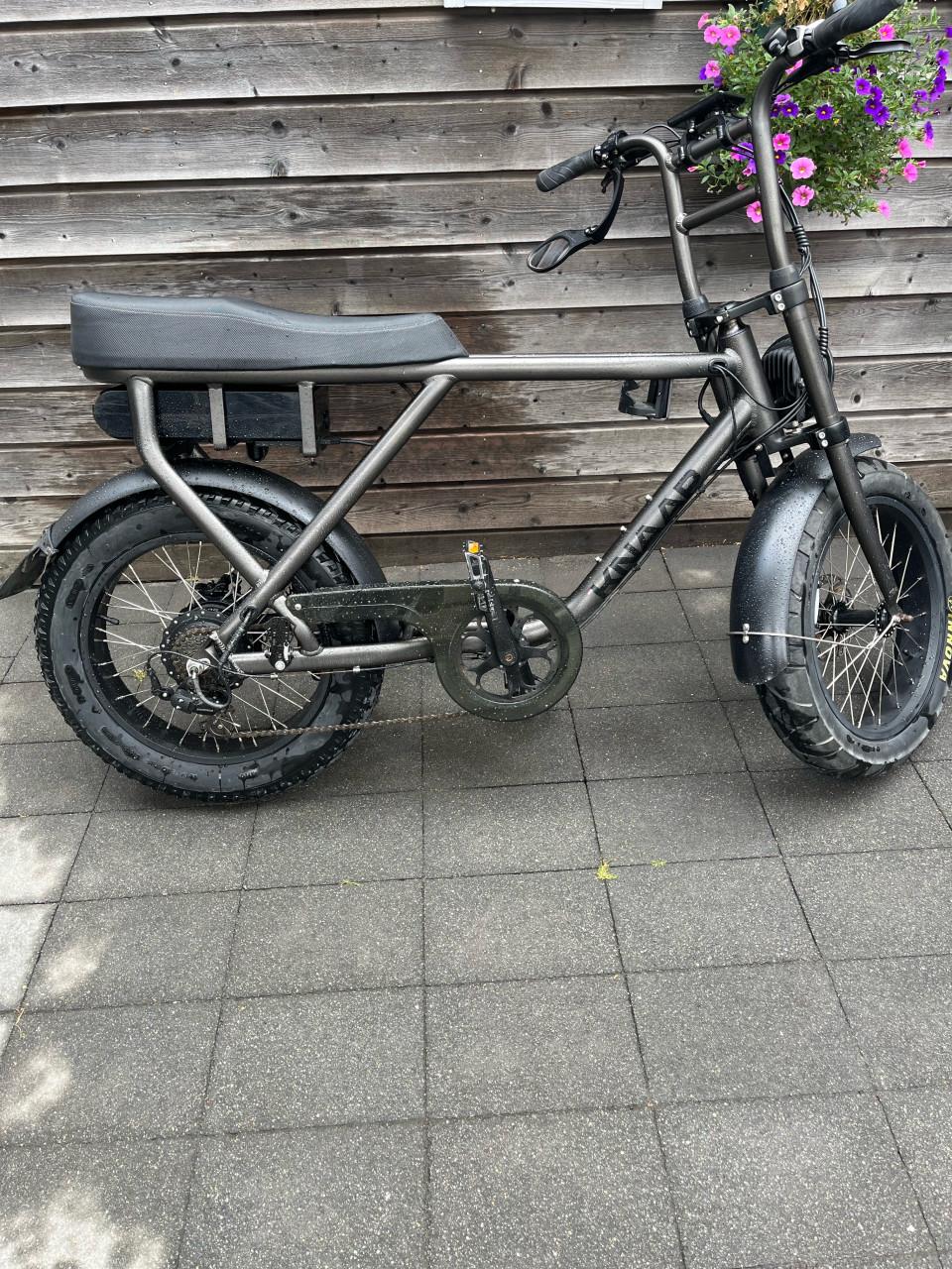 Nederlandse Knaap e bike