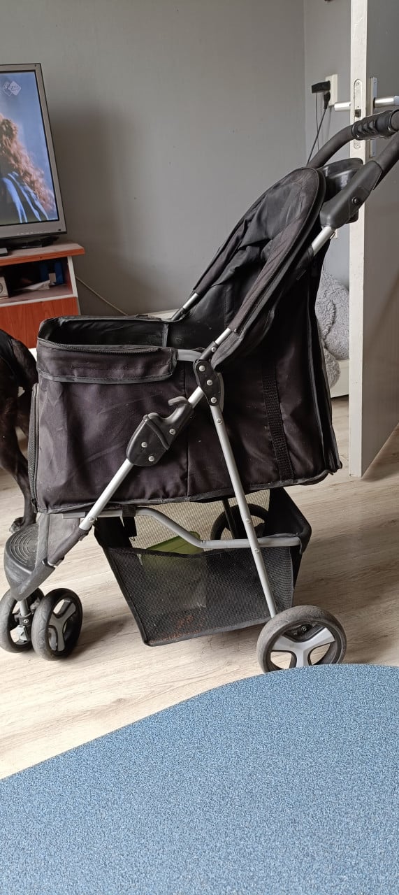 Hondenbuggy