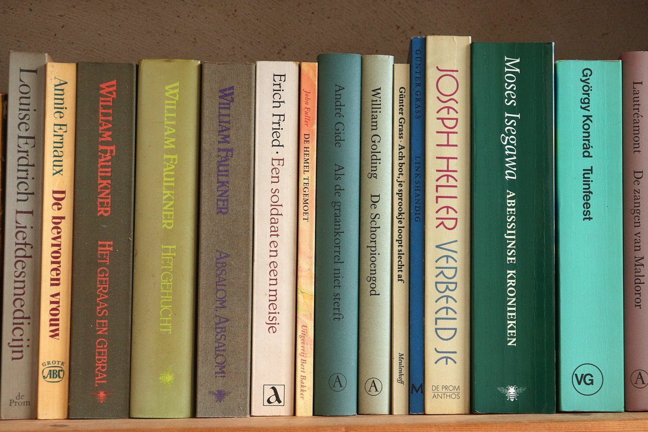 Wereldliteratuur in Nederlandse vertaling