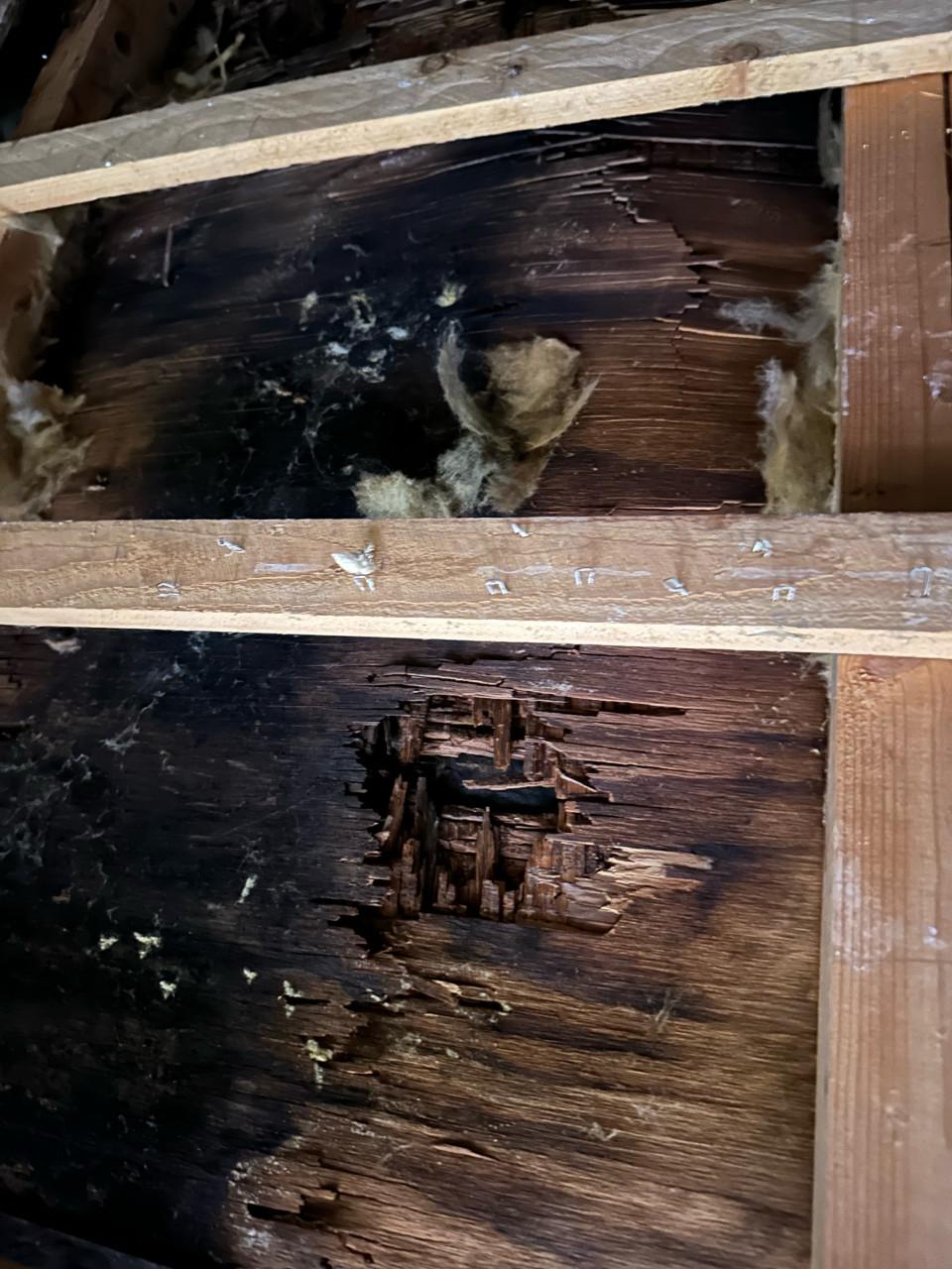 Help ons huis een thuis te worden