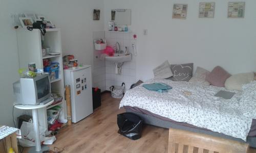 Te huur grote studentenkamer in binnenstad Vlissingen