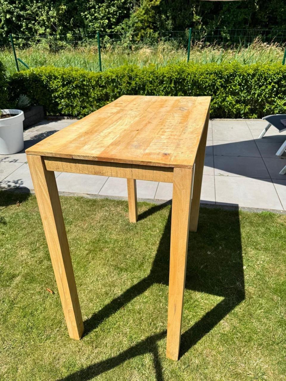 Vida XL Bartafel van mangohout