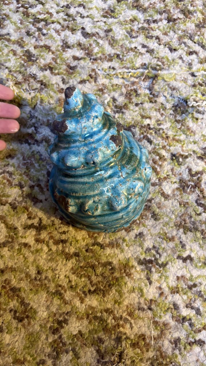 Decoratief Schelp