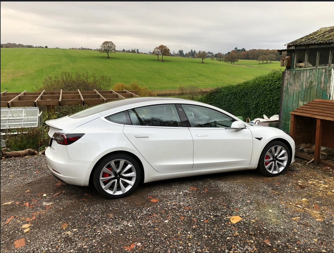 19'' Originele Performance Tesla Model 3 velgen + banden