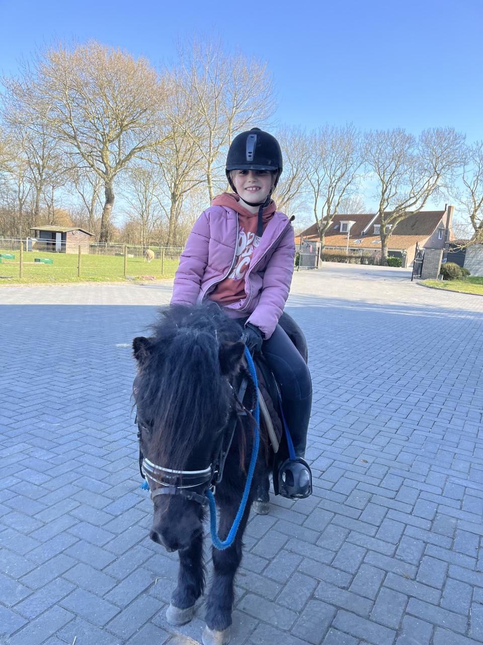 Brave pony gezocht