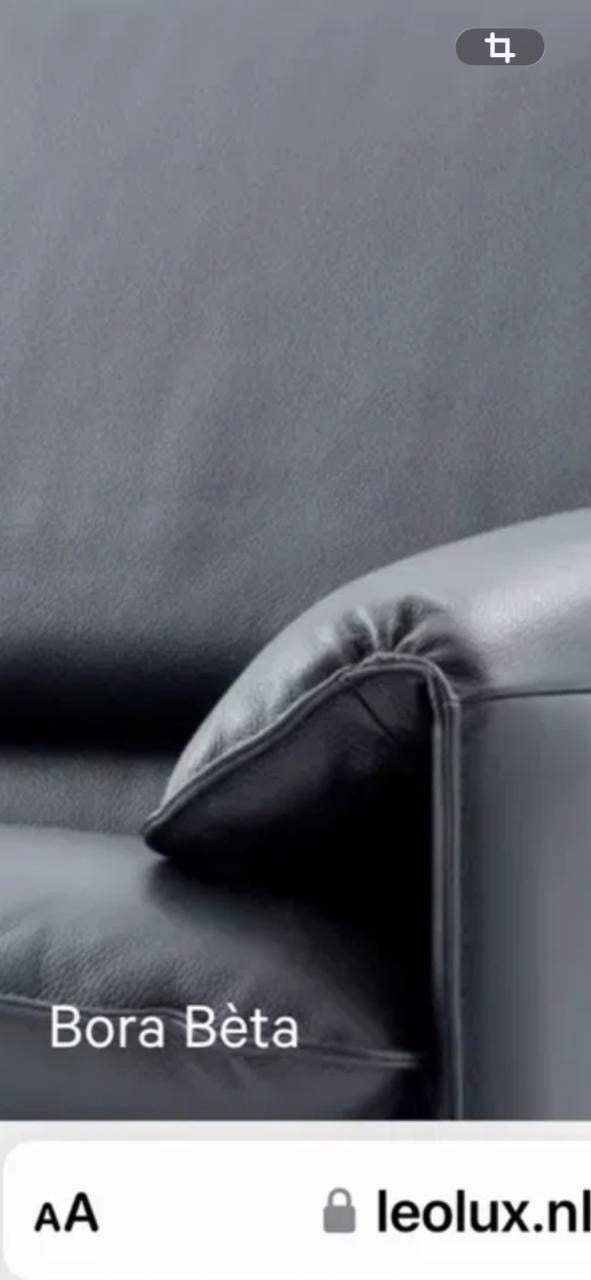 Lederen designfauteil