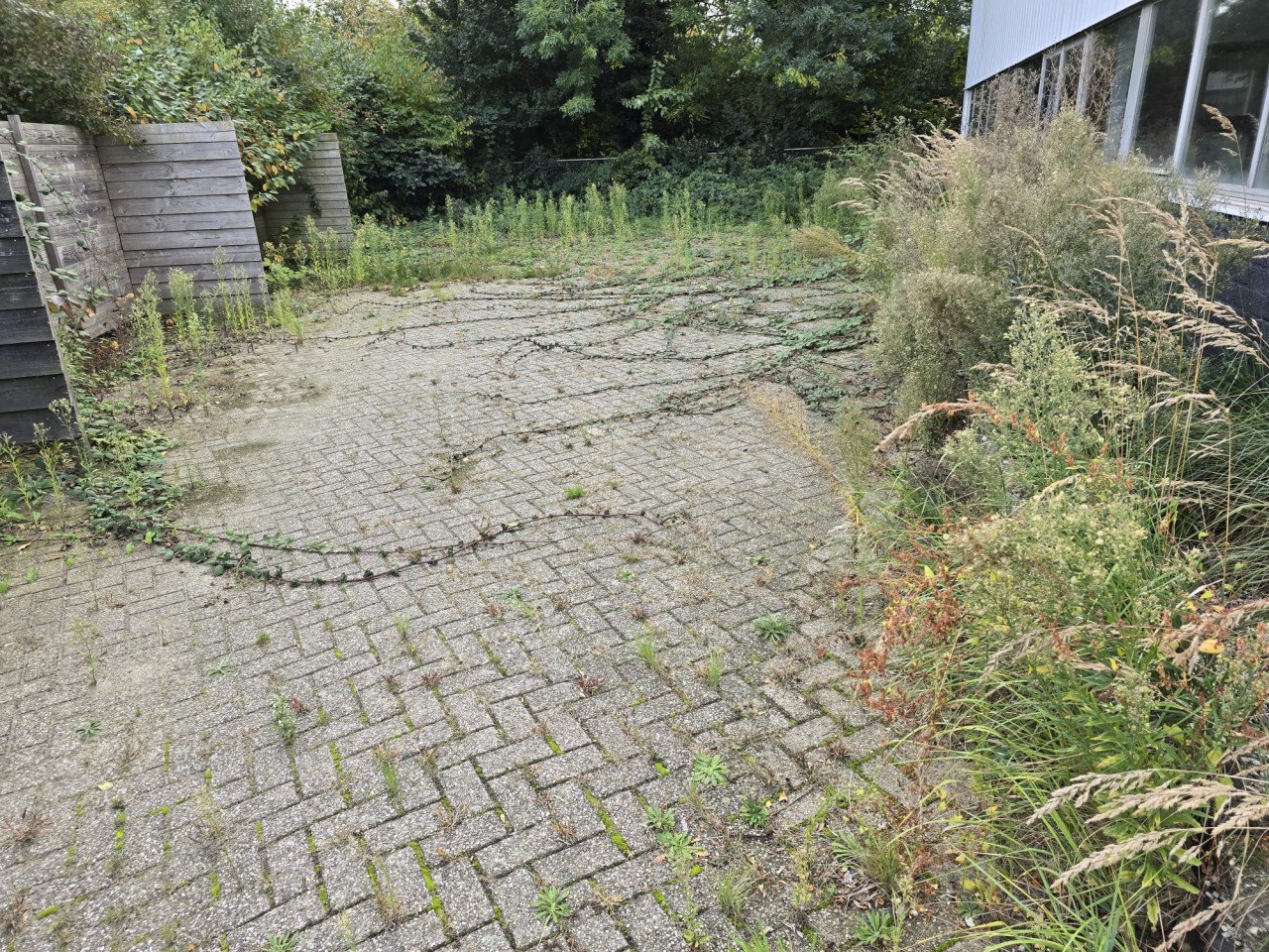 Tuinman