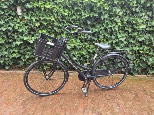 Cortina U4 Transport RN3 Dames fiets