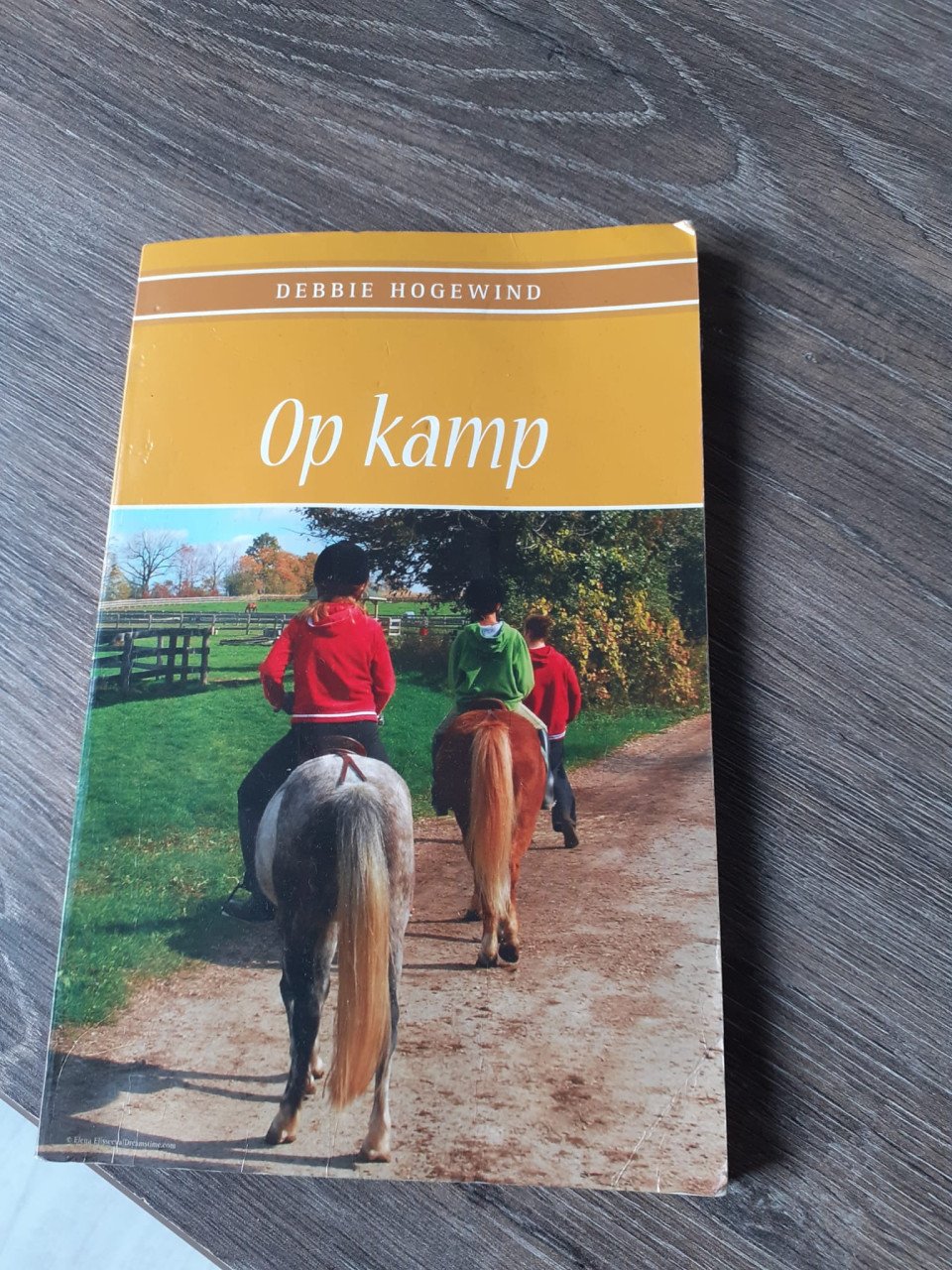Paarden weetjes kwartet, leesboek en puzzel