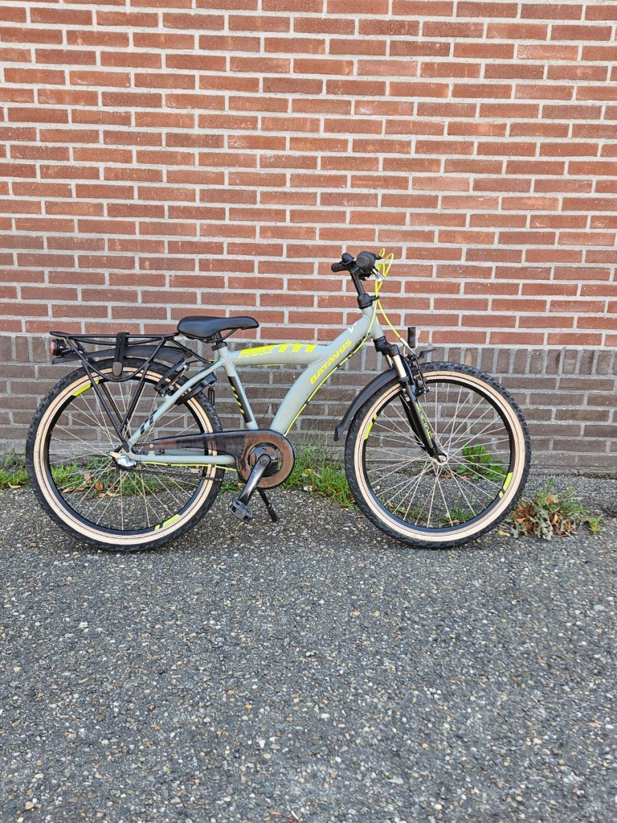 Batavus snake 24'' nex 3 van 549 voor 250 inruil mogelijk