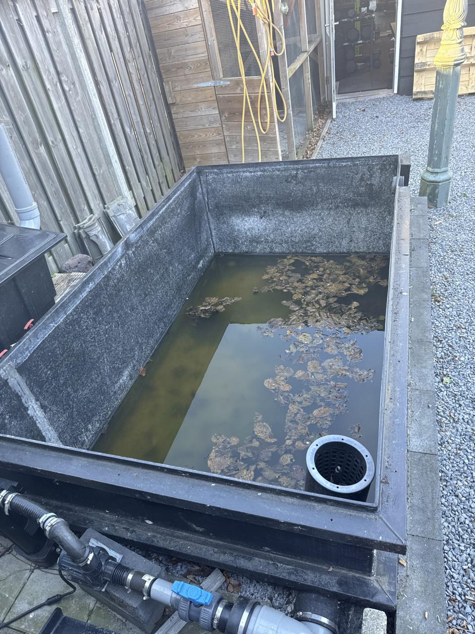 Vijver gratis afhalen