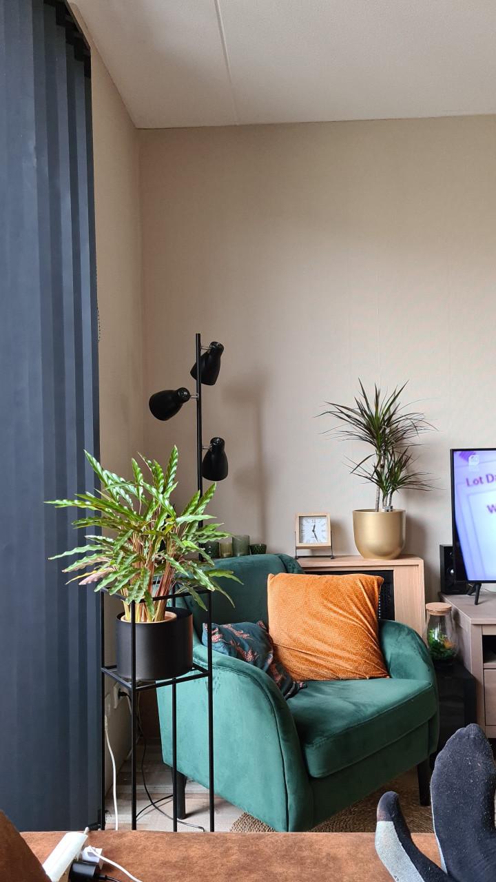 Fauteuil