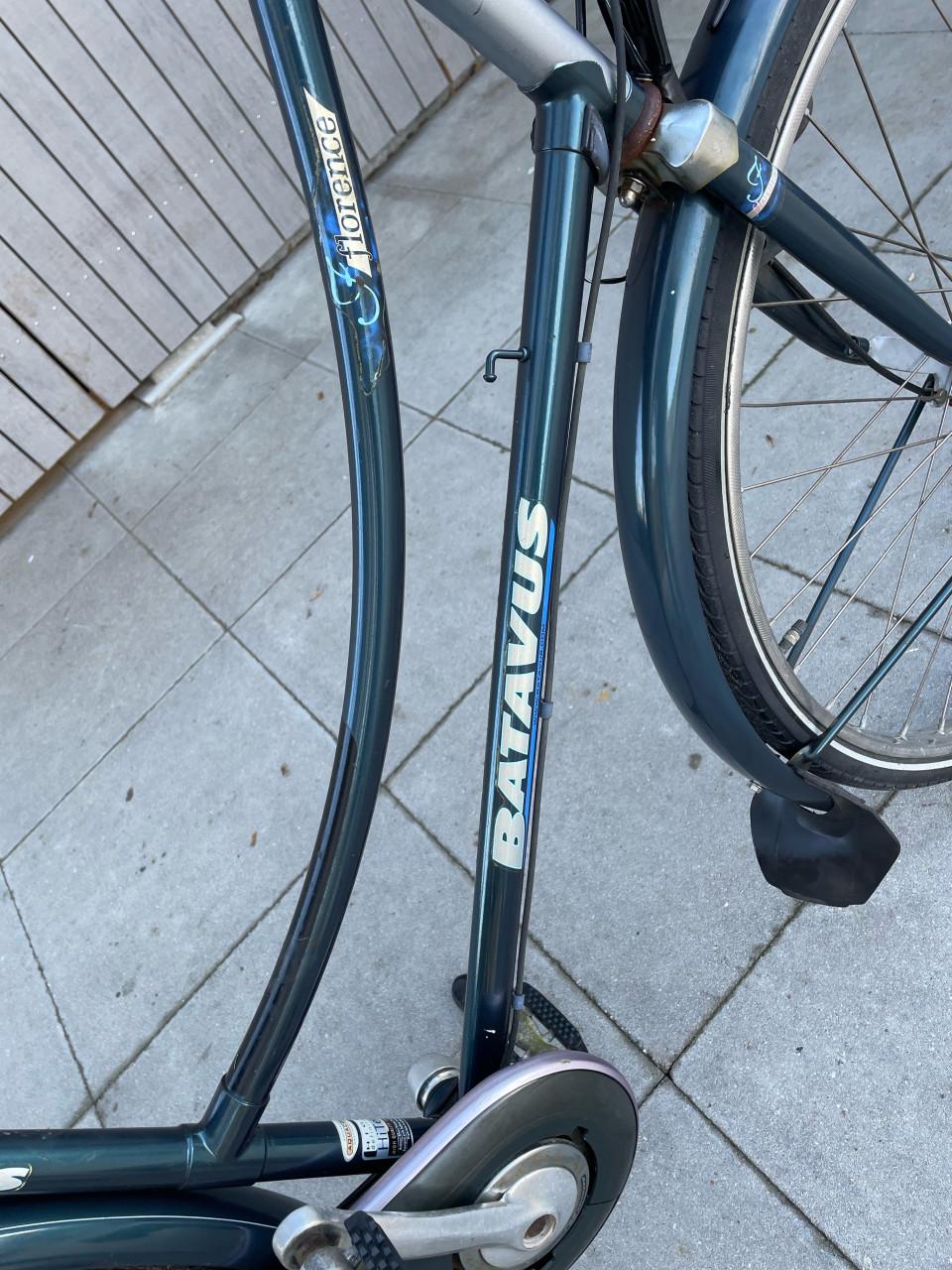 Danesfiets/ stationsfiets.