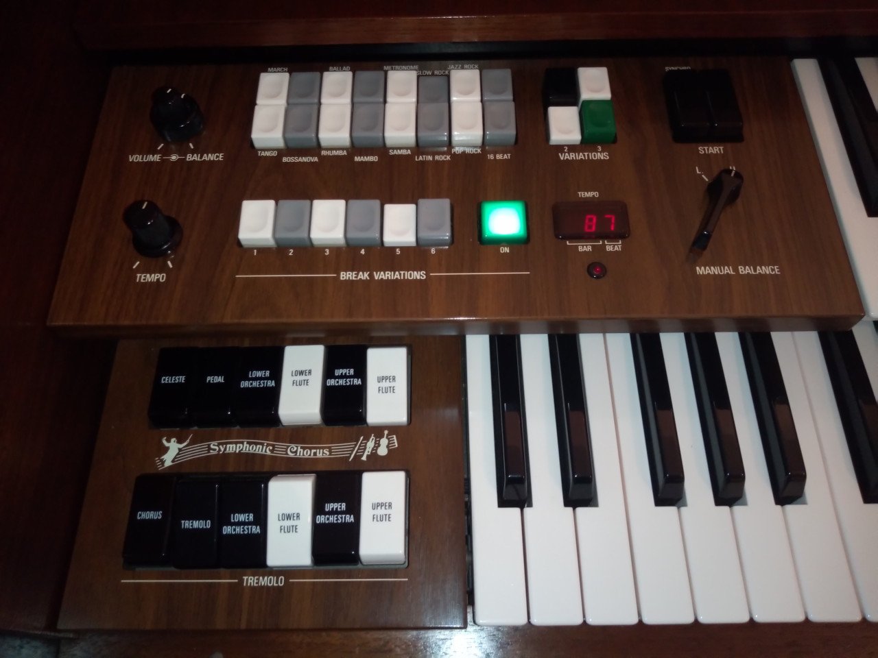 YAMAHA D-85