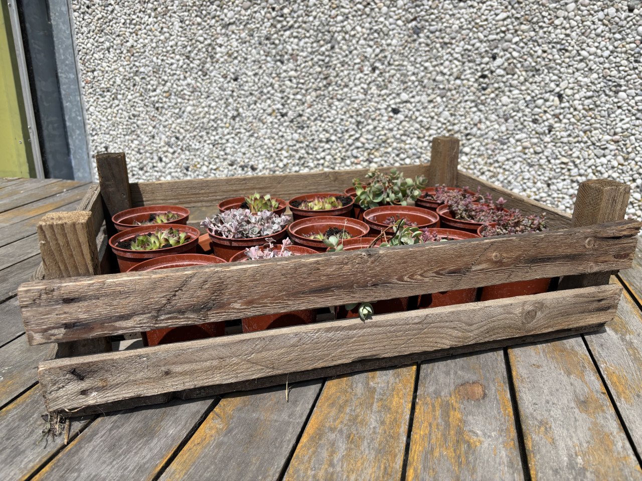 Aardappelkratjes