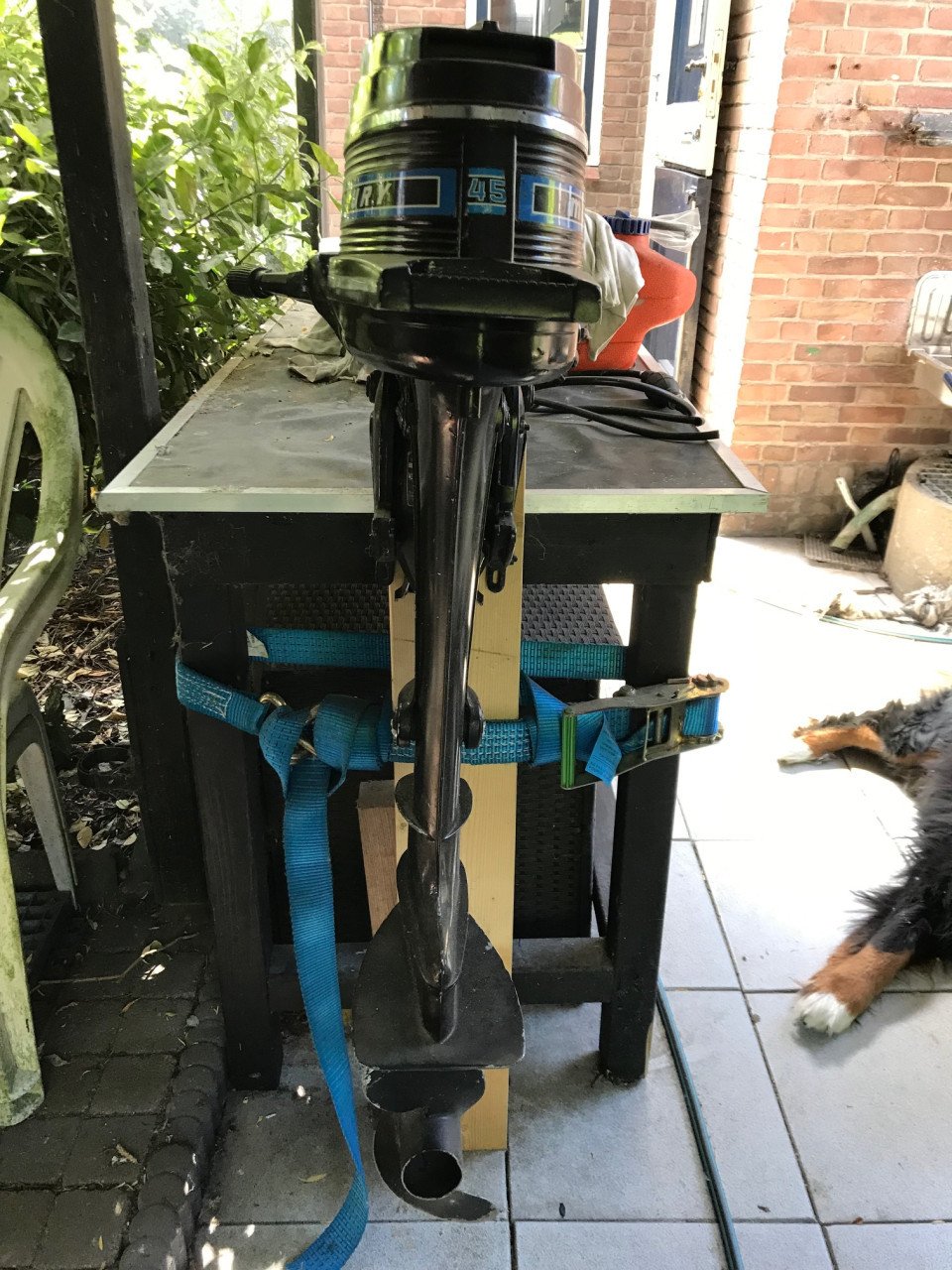 Bootje + Motor + Trailer (opknapper)