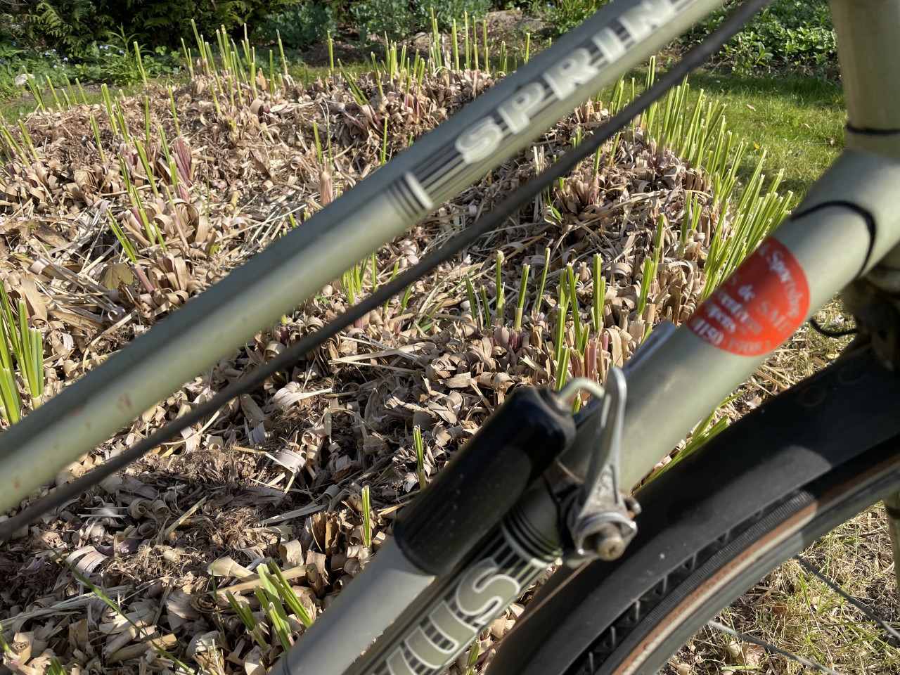 Damesfiets Batavus Sprint