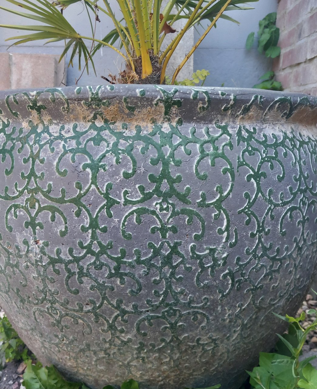 Palm inclusief grote pot