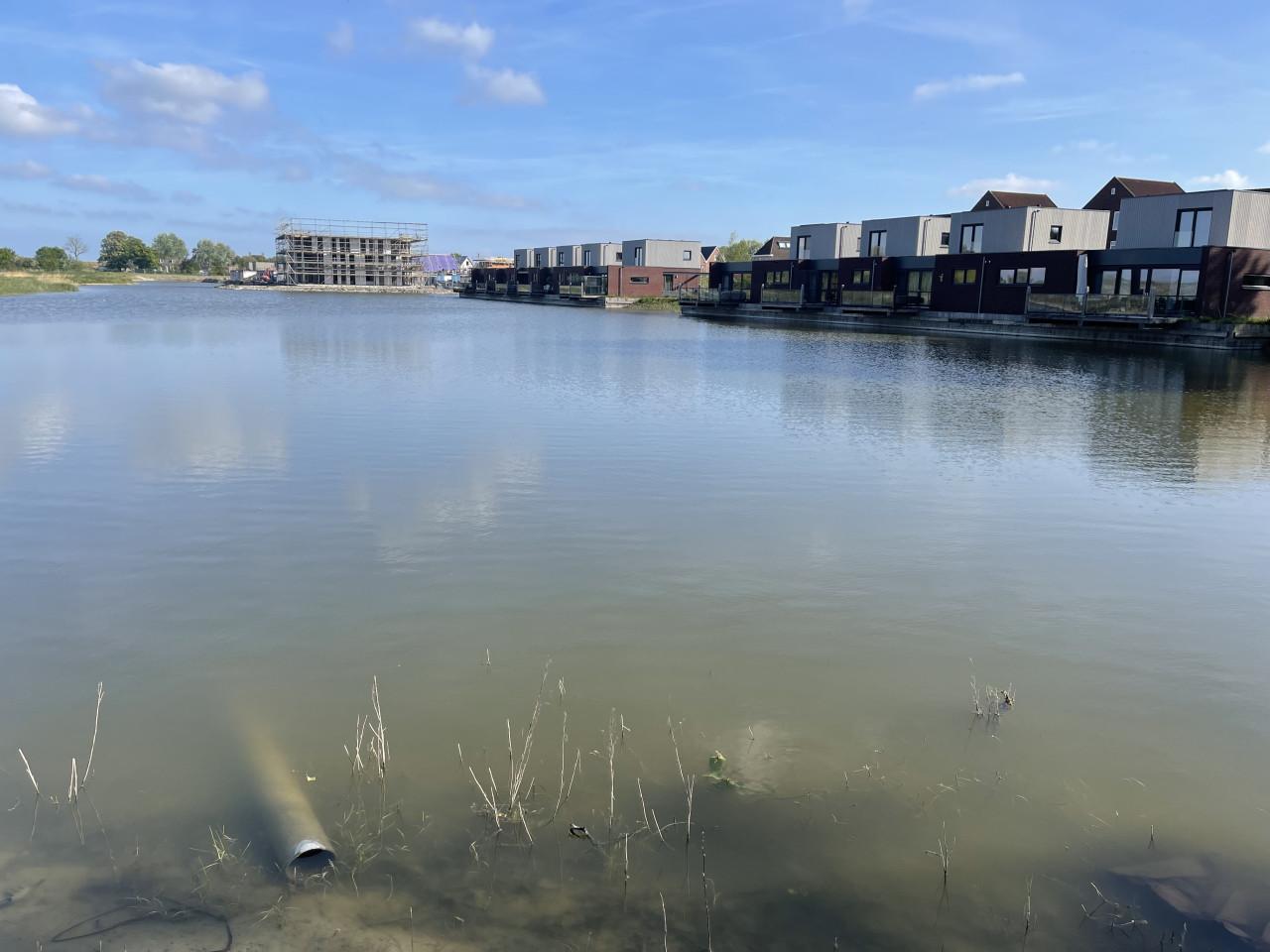 DE 3 HENGELVERGUNNING KOMT NIET IN DE VISPAS BIJ KARPERVISSERIJ KOUDEKERKE